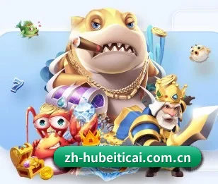 湖北体彩网的故事